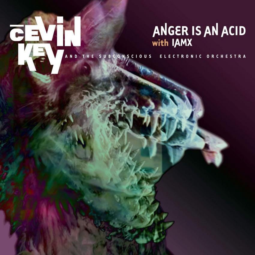 IAMX / CEVIN KEY COLLABORATION - Anger is an Acid