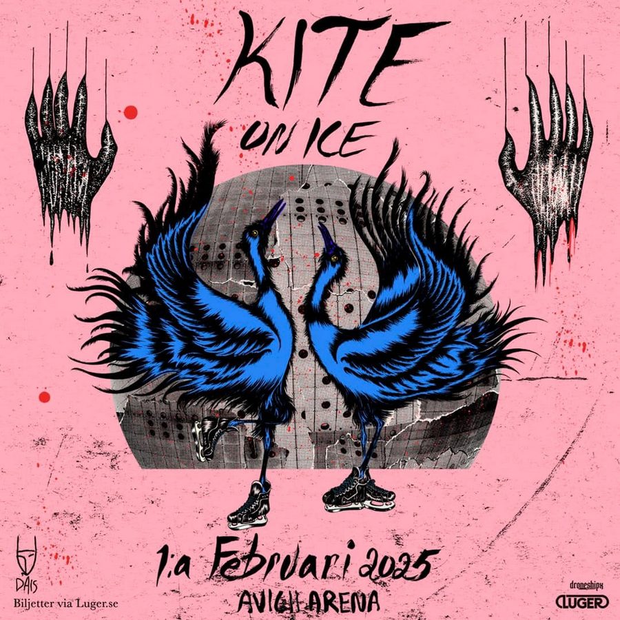 Kite on Ice Avicii Arena 2025