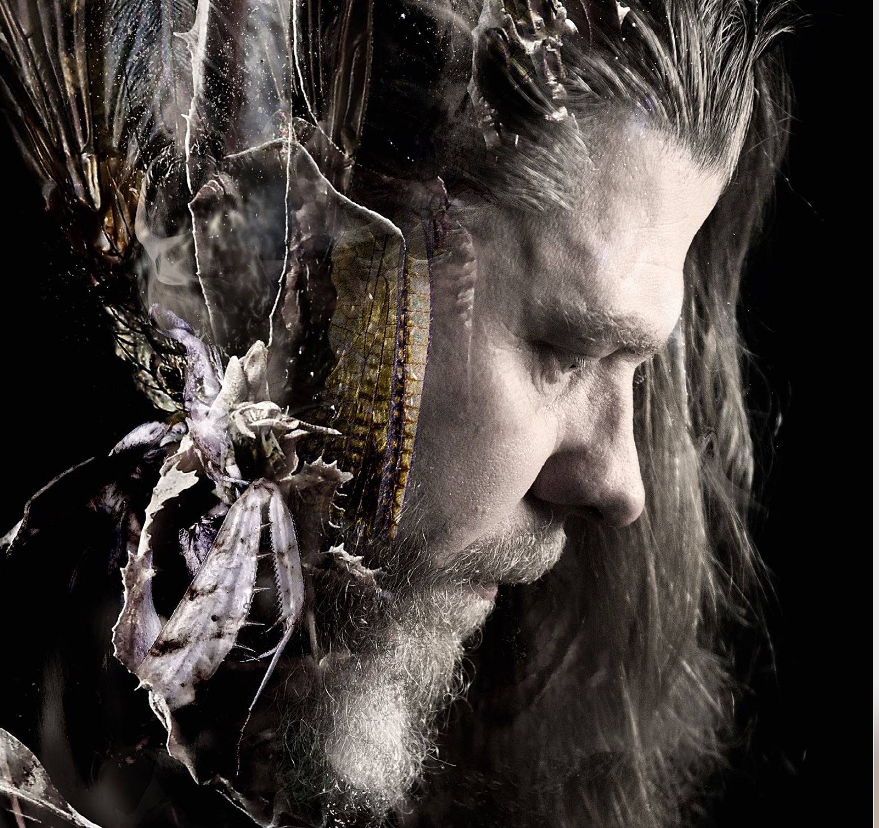 Promo Diary of Dreams - Photograph: Silke Jochum Adrian Hates von Diary of Dreams